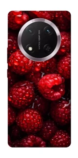 Чехол на Honor X9c Малинка фото 1 из 1