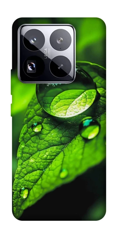 Чохол на Xiaomi 15 Pro Flowers v16 фото 1 з 1