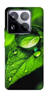 Чохол на Xiaomi 15 Pro Flowers v16 фото 1 з 1