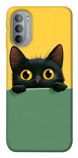 Чохол на Motorola Moto G31 Black cat v2 фото 1 з 1