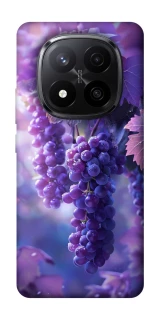 Чехол на Xiaomi Redmi Note 14 Pro+ 5G Bunch of grapes фото 1 из 1
