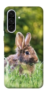 Чехол на Samsung Galaxy A36 5G Кролики фото 1 из 1