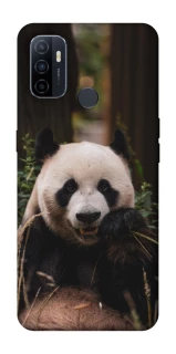 Чохол на Oppo A53 / A32 / A33 Панда фото 1 Чохол на Oppo A53 / A32 / A33 Панда фото 1 з 1