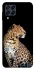Чохол на Samsung Galaxy M33 5G Leopard v2 фото 1 з 1