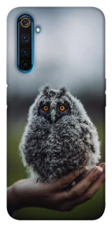 Чохол на Realme 6 Pro Совеня фото 1 з 1