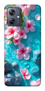 Чохол на Motorola Moto G54 Flowers v19 фото 1 Чохол на Motorola Moto G54 Flowers v19 фото 1 з 1