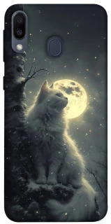Чохол на Samsung Galaxy M20 Кіт під місяцем фото 1 з 1
