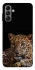 Чохол на Samsung Galaxy A04s Leopard v4 фото 1 з 1