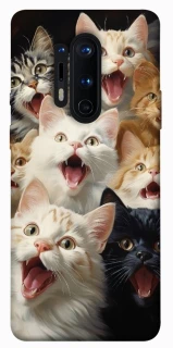 Чохол на OnePlus 8 Pro Коти фото 1 з 1
