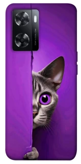 Чохол на Oppo A77s Кіт-підглядач фото 1 з 1