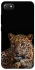 Чехол на Xiaomi Redmi 6A Leopard v4 фото 1 из 1