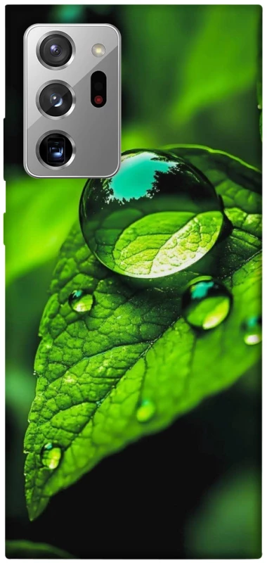 Чохол на Samsung Galaxy Note 20 Ultra Flowers v16 фото 1 з 1