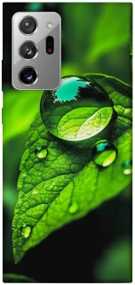 Чохол на Samsung Galaxy Note 20 Ultra Flowers v16 фото 1 з 1