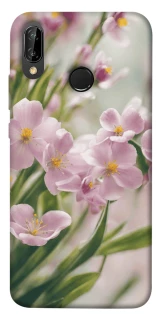Чохол на Huawei P20 Lite Spring фото 1 Чохол на Huawei P20 Lite Spring фото 1 з 1