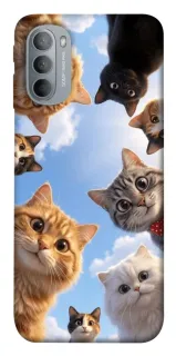 Чехол на Motorola Moto G31 Cats фото 1 из 1