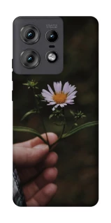 Чехол на Motorola Edge 50 Pro Ромашка v4 фото 1 из 1