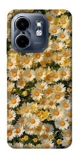Чохол на Infinix Smart 9 4G / Hot 50i Camomile фото 1 з 1