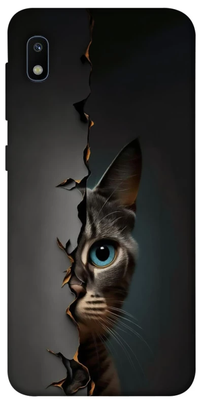 Чохол на Samsung Galaxy A10 (A105F) Кіт-підглядач v2 фото 1 з 1