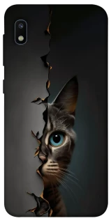 Чехол на Samsung Galaxy A10 (A105F) Кот-подглядыватель v2 фото 1 из 1