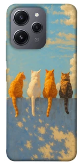 Чехол на Xiaomi Redmi 12 cats on wall фото 1 Чехол на Xiaomi Redmi 12 cats on wall фото 1 из 1