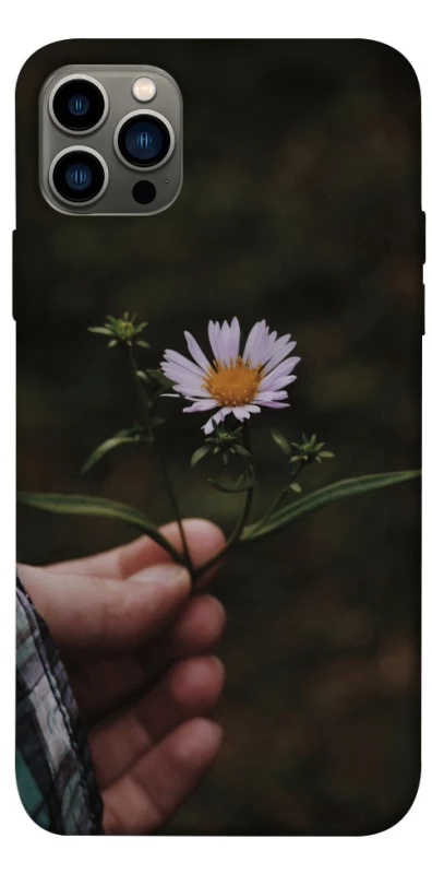 Чехол на Apple iPhone 12 Pro (6.1") Ромашка v4 фото 1 из 1