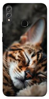 Чохол на Huawei Honor 8X Cat paws фото 1 з 1