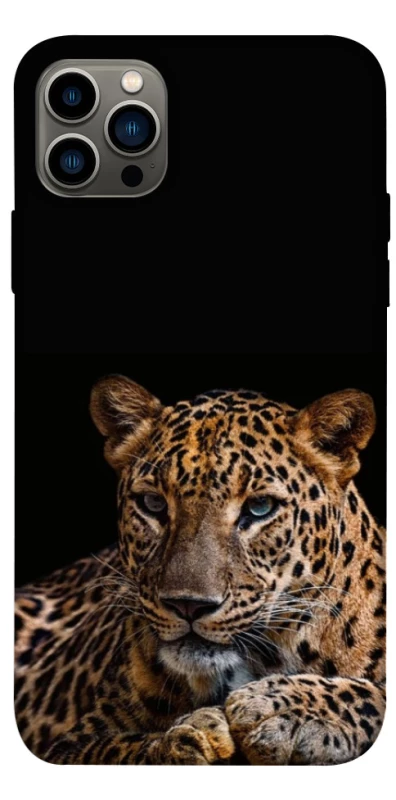 Чохол на Apple iPhone 12 Pro (6.1") Leopard v4 фото 1 з 1