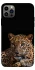 Чохол на Apple iPhone 12 Pro (6.1") Leopard v4 фото 1 з 1