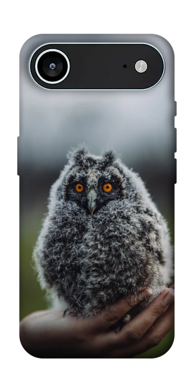 Чохол на Apple iPhone 17 Air (6.5") Совеня фото 1 з 1