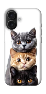 Чохол на Apple iPhone 16 Гарні котики фото 1 з 1