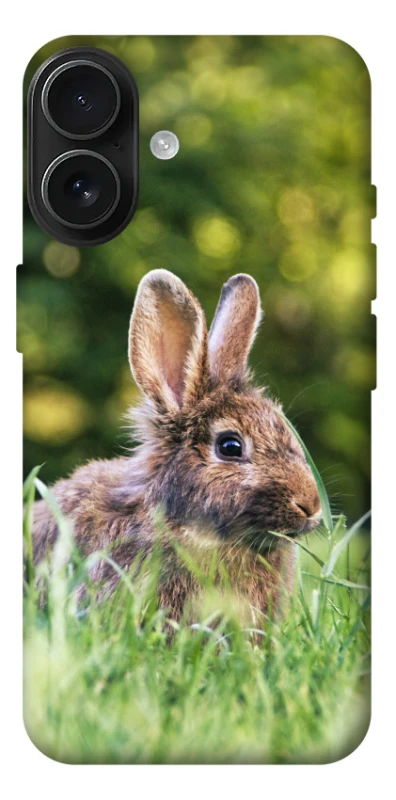 Чехол на Apple iPhone 17 (6.3") Кролики фото 1 из 1