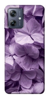 Чохол на Motorola Moto G54 Floral Symphony фото 1 Чохол на Motorola Moto G54 Floral Symphony фото 1 з 1