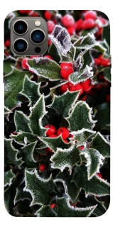 Чохол на Apple iPhone 12 Pro (6.1") Новорічний v32 фото 1 з 1