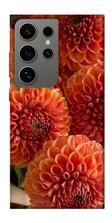 Чохол на Samsung Galaxy S24 Ultra Flower1 фото 1 з 1