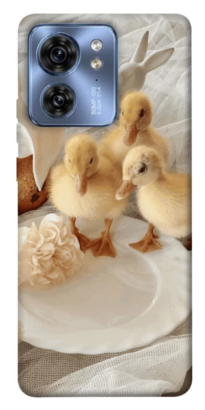 Чехол на Motorola Edge 40 Easter Vibes фото 1 из 1