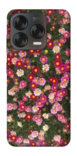 Чехол на ZTE Blade V70 Design Flowers v8 фото 1 из 2
