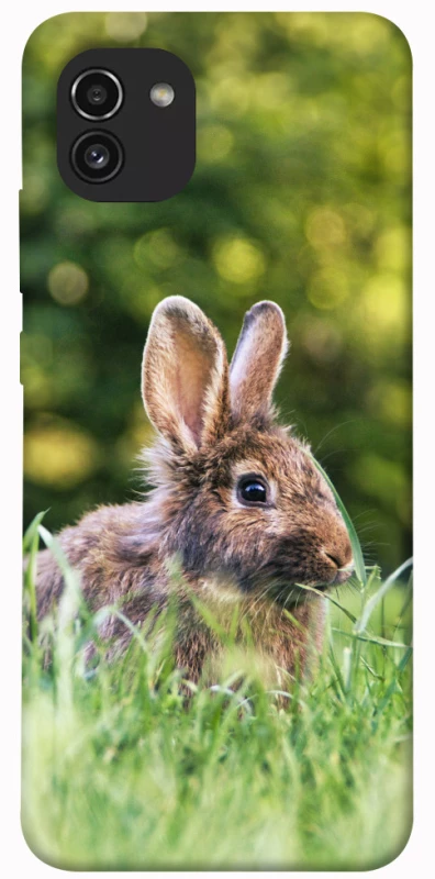 Чехол на Samsung Galaxy A03 Кролики фото 1 из 1