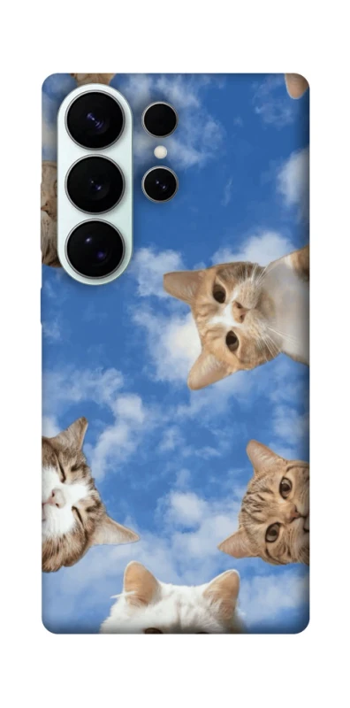 Чехол на Samsung Galaxy S26 Pro Сats фото 1 из 1