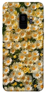 Чохол на Samsung Galaxy S9 Camomile фото 1 з 1