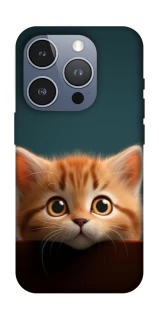 Чохол на Apple iPhone 16 Pro Чохол Кошеня фото 1 з 1