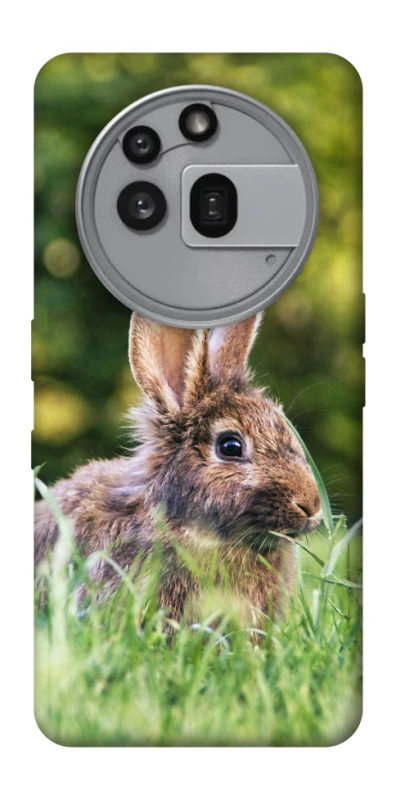 Чохол на Nothing Phone (3a) Pro Кролики фото 1 з 1