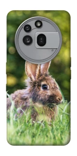 Чохол на Nothing Phone (3a) Pro Кролики фото 1 з 1