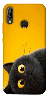 Чохол на Huawei P20 Lite This is Cat фото 1 Чохол на Huawei P20 Lite This is Cat фото 1 з 1