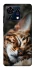 Чохол на ZTE Blade V50 Vita Cat paws фото 1 з 1
