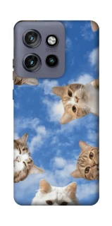 Чохол на Motorola Edge 50 Neo Сats фото 1 з 1