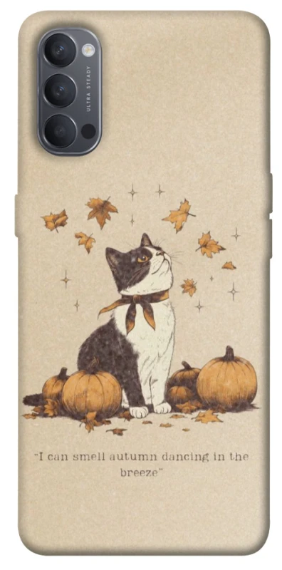 Чохол на Oppo Reno 4 Autumn vibes ver.3 фото 1 з 1