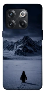 Чехол на OnePlus 10T But why? фото 1 из 1