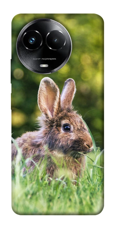 Чохол на Realme C67 4G Кролики фото 1 з 1