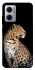 Чохол на Xiaomi Redmi Note 11E Leopard v2 фото 1 з 1