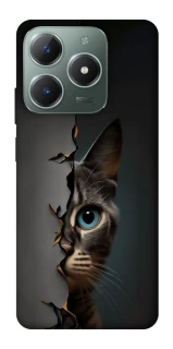 Чехол на Realme C61 Кот-подглядыватель v2 фото 1 из 1